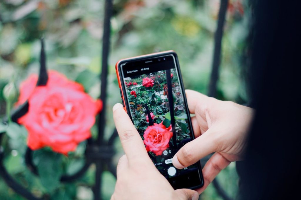 cropping and color correction